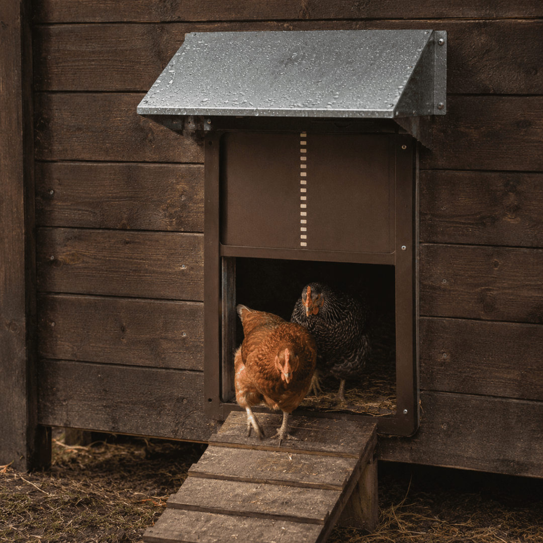 Automatische Hühnerstalltür mit Lichtsensor und Wetterschutz 5