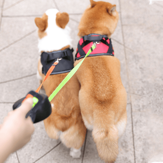 Doppelte Hundeleine Mit Entwirrmechanismus Für Zwei Hunde, Verstellbar, Integrierte Taschenlampe 2
