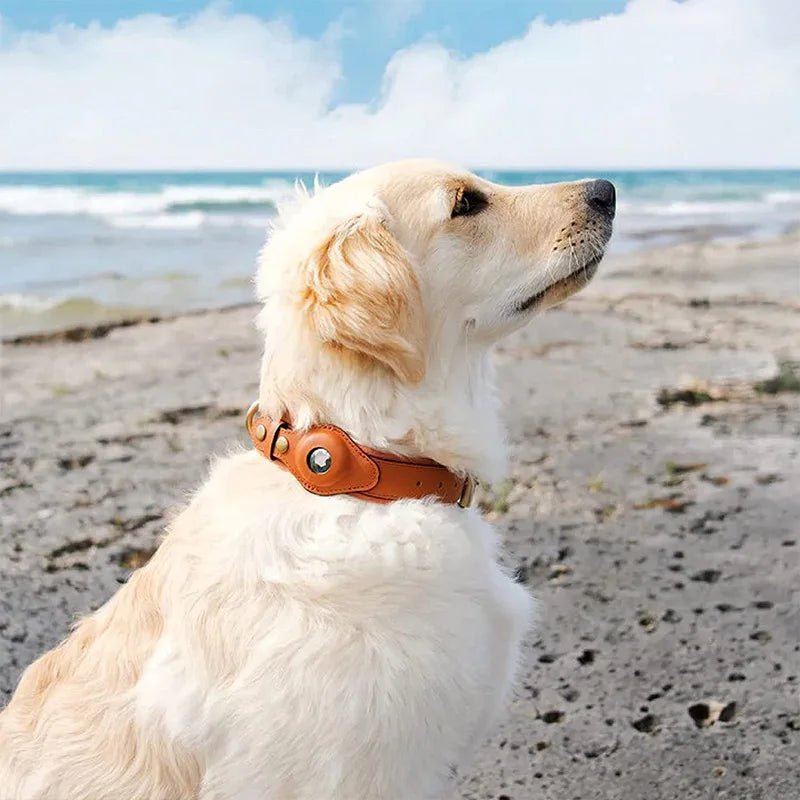 Hunde Halsband mit AirTag-Halterung, Wasserabweisend und Komfortablem Innenfutter 1