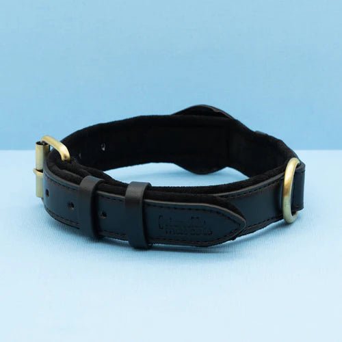 Hunde Halsband mit AirTag-Halterung, Wasserabweisend und Komfortablem Innenfutter 6
