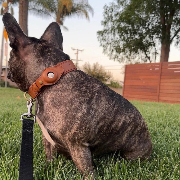 Hunde Halsband mit AirTag-Halterung, Wasserabweisend und Komfortablem Innenfutter 8