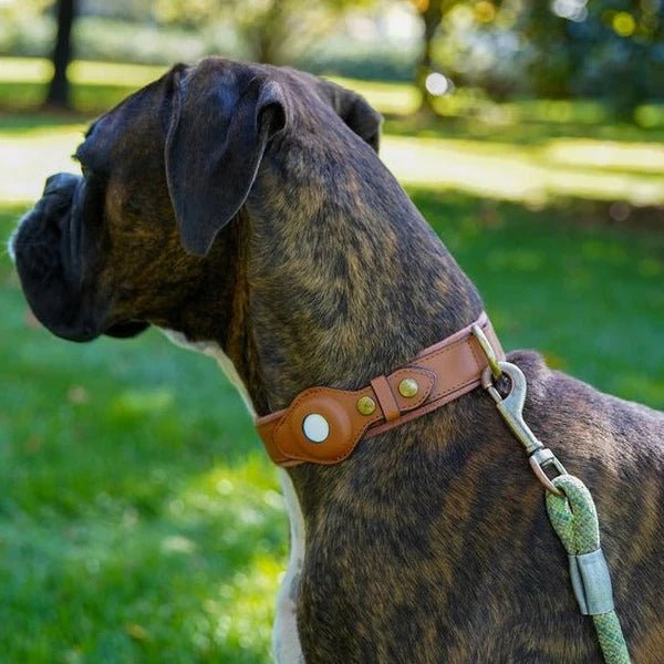 Hunde Halsband mit AirTag-Halterung, Wasserabweisend und Komfortablem Innenfutter 9