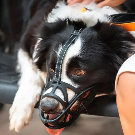 Hunde Maulkorb Für Sicheres Verhalten - Leicht Und Luftdurchlässig 0