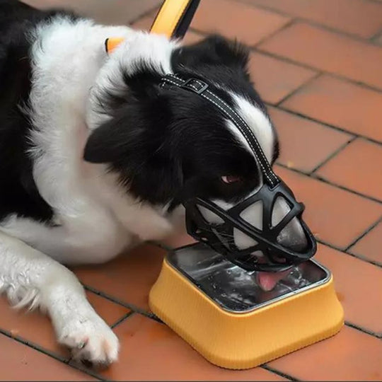 Hunde Maulkorb Für Sicheres Verhalten - Leicht Und Luftdurchlässig 8