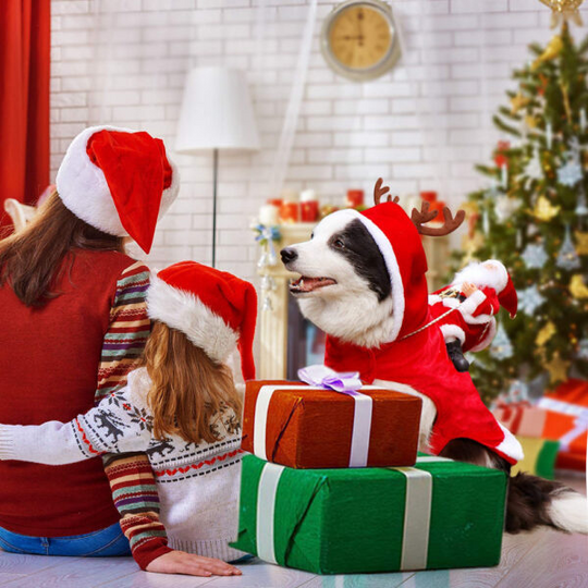 Hunde Weihnachtskostüm Weihnachtsmann Festliches Outfit für Hunde 1
