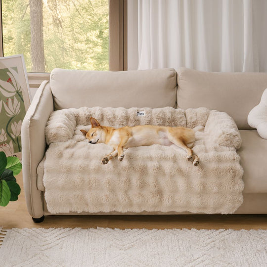 Hundebett PlushNest für Haustiere – Gemütliches Hundesofa mit Rutschfester Unterseite und Vielseitigem Design 2