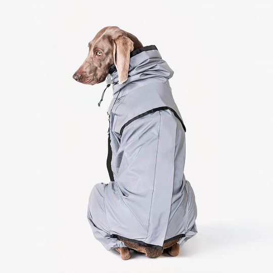 Hundemantel Wasserdicht Reflektierend für Hunde – Regenmantel mit Komfort und Sichtbarkeit 7