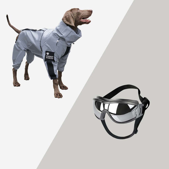 Hundemantel Wasserdicht Reflektierend für Hunde – Regenmantel mit Komfort und Sichtbarkeit 9