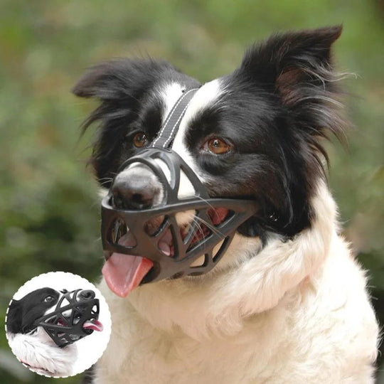 Hundemaulkorb für Hunde, Atmungsaktives Design für Komfort und Kontrolle 4