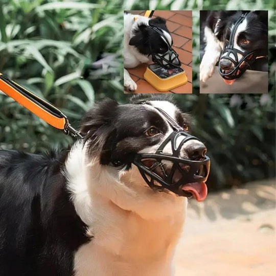 Hundemaulkorb für Hunde, Atmungsaktives Design für Komfort und Kontrolle 6