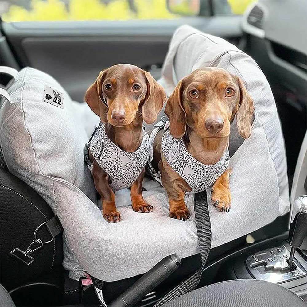 Hundesitzbett Mit Sicherheitsgurt Und Rutschfester Unterlage Für Hunde 1