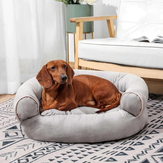Hundesofa mit weicher Polsterung für optimalen Komfort 2