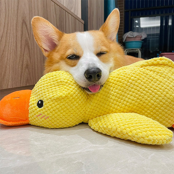Hundespielzeug Entenform Für Alle Größen Mit Quackgeräusch Und Beschäftigung 0