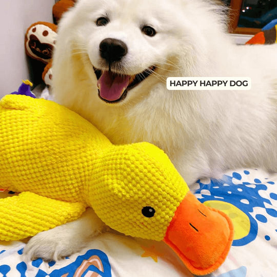 Hundespielzeug Entenform Für Alle Größen Mit Quackgeräusch Und Beschäftigung 2