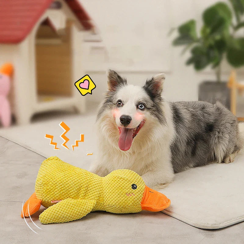 Hundespielzeug Entenform Für Alle Größen Mit Quackgeräusch Und Beschäftigung 6