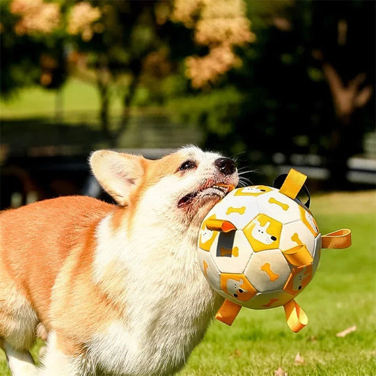 Interaktives Hundespielzeug Fußball für Hunde - Vielseitiges Spielzeug für Drinnen und Draußen 1