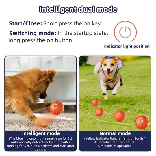 Interaktives Hundespielzeug für kleine Hunde mit LED-Licht und Bewegungssensor 3