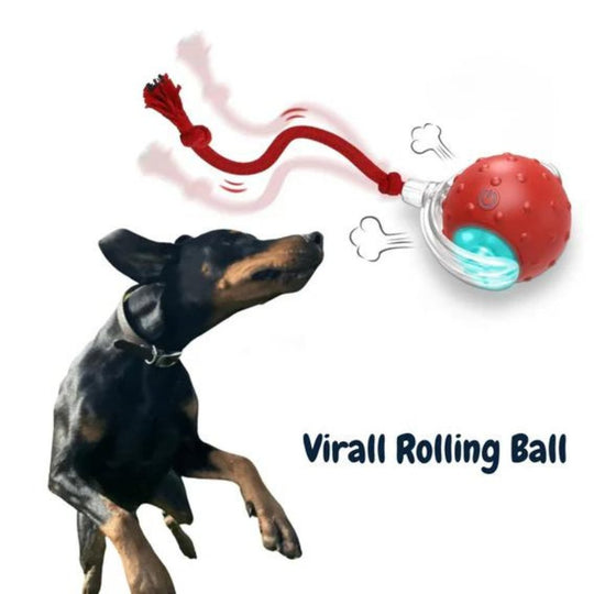 Interaktives Hundespielzeug mit Rollenden Bällen für Beschäftigung und Intelligenz 0