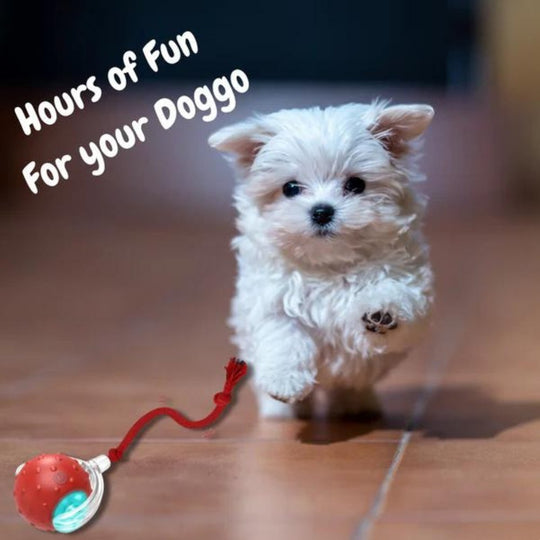 Interaktives Hundespielzeug mit Rollenden Bällen für Beschäftigung und Intelligenz 3