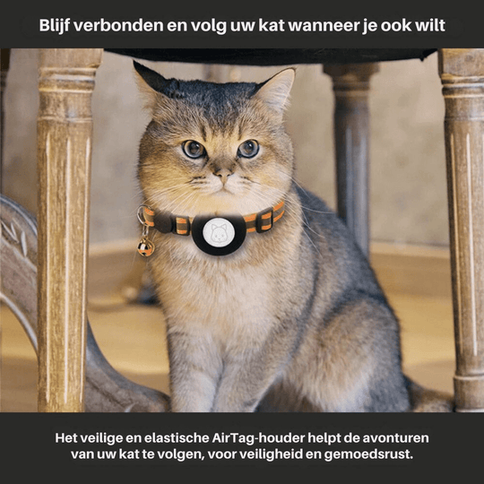 Katzen GPS Tracker Halsband mit reflektierenden Elementen 3