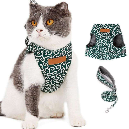 Katzen Geschirr Set für Outdoor Abenteuer 2
