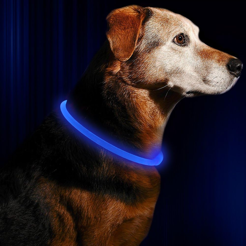 Leuchthalsband Hund LED Wiederaufladbar Verstellbar für Sicherheit bei Abendspaziergängen 1