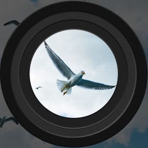 Nachtsichtgerät für Jagd und Outdoor, Fernglas mit 4-fach Zoom und großer Reichweite, Ideal für Tierbeobachtungen 1