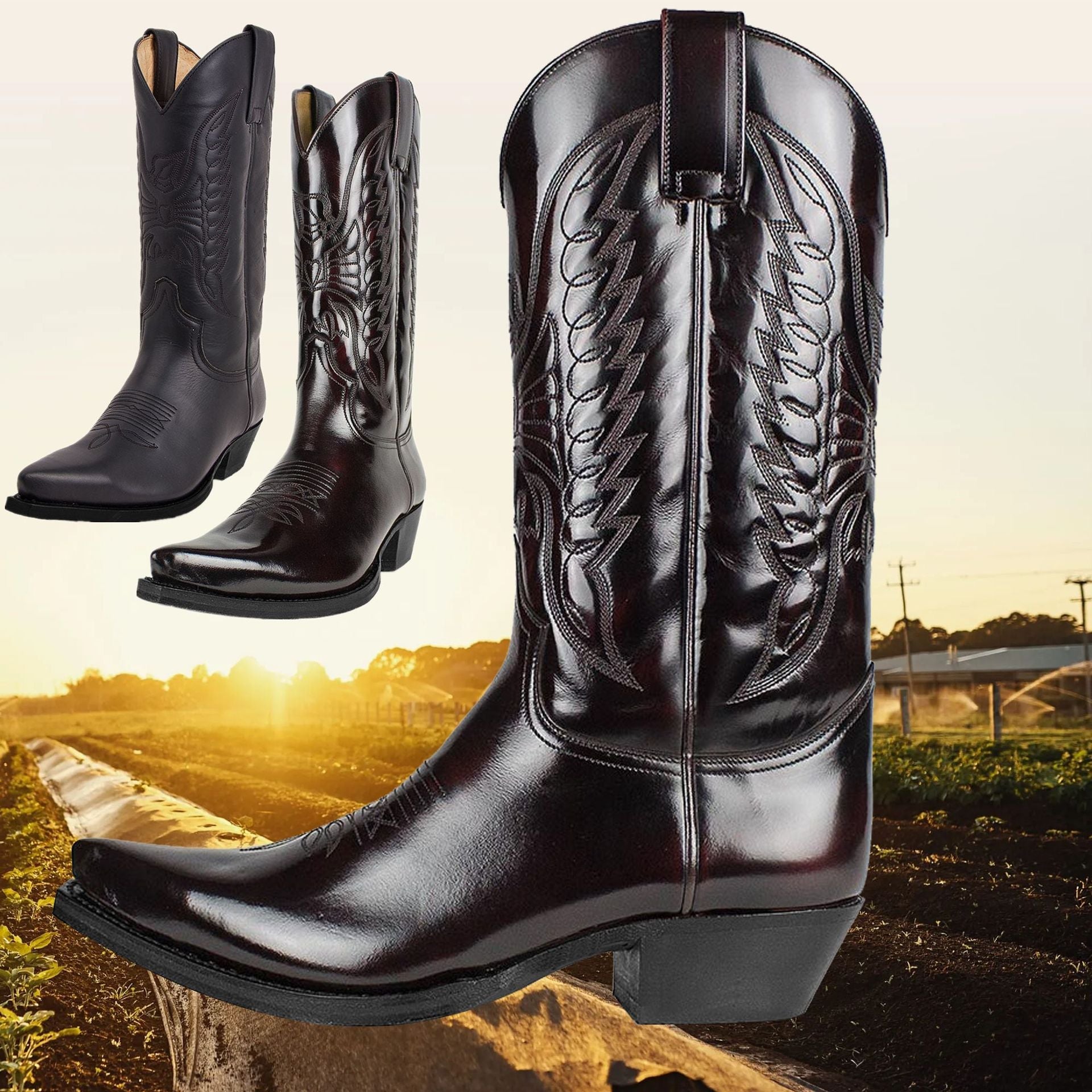 Herren Stiefel Leder Western Design Robustes Modell 3