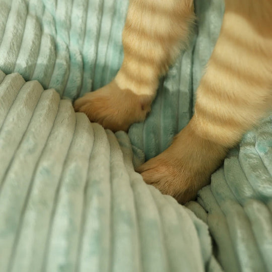 Orthopädisches Hundebett für Winterkomfort mit Gelenkunterstützung und flauschigem Design 6