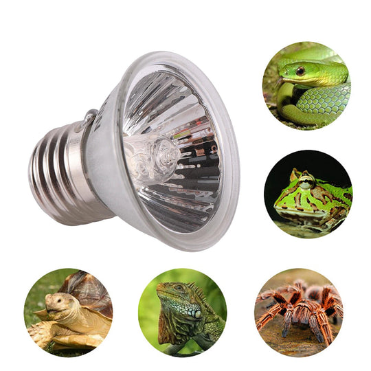 Reptilien Lampe UVA+UVB mit Temperaturregelung für Terrarien und Aquarien 1