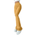 Gerippte Damenhose mit hoher Taille